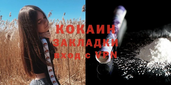 эйфоретик Губаха