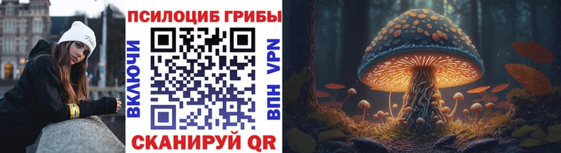 Псилоцибиновые грибы MAGIC MUSHROOMS  ссылка на мегу tor  сайты даркнета официальный сайт  Бодайбо 