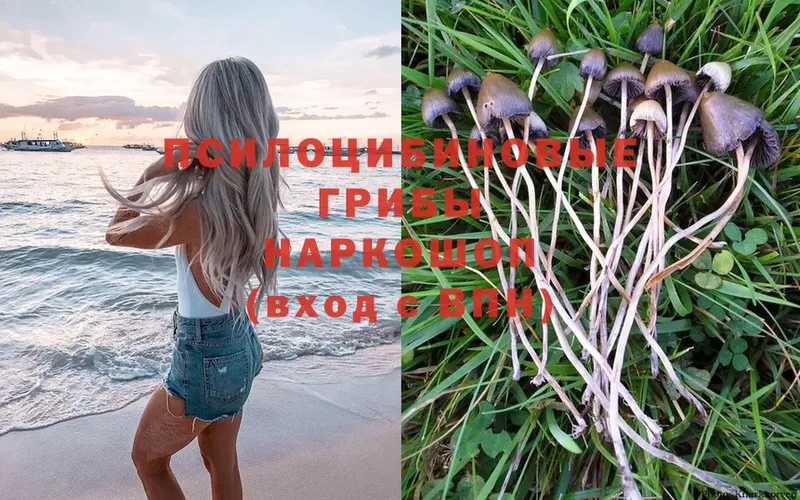 Псилоцибиновые грибы Magic Shrooms  купить  цена  Бодайбо 